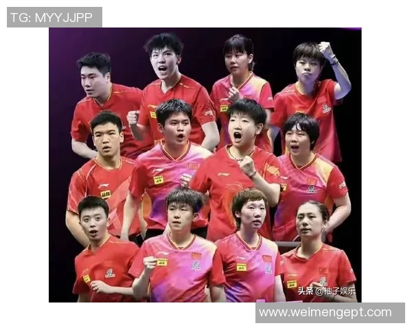 武汉乒乓球队的蜕变与崛起:世界锦标赛背后的奋斗故事